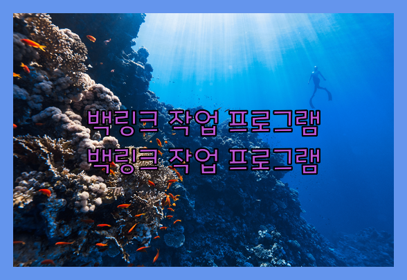 백링크 작업 프로그램